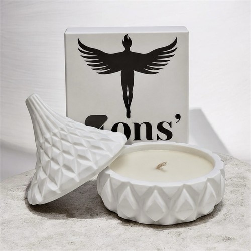 Champagne apple soy wax - apple,