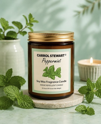 Peppermint soy wax candle - peppermint,