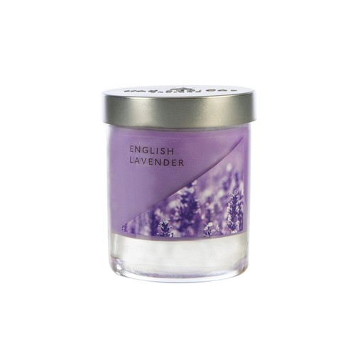 English lavender small - lavender,